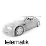 Telematik
